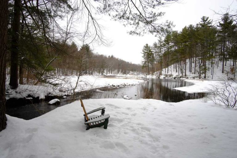 Fall 2021 Newsletter