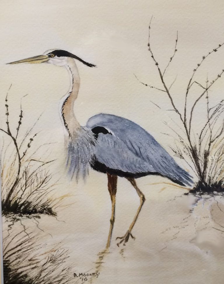 Wildlife Watch by Marian Harman – April 2019