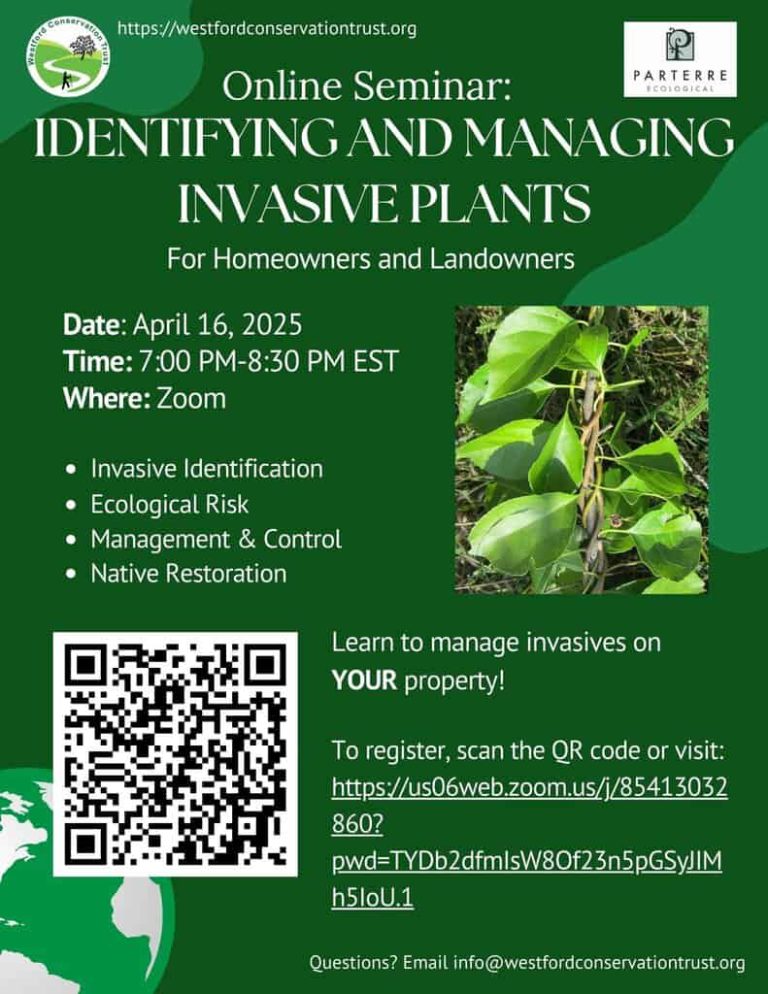 Identify & Manage Invasive Plants in Westford – Recording of Presentation