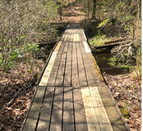 Spring 2022 Newsletter