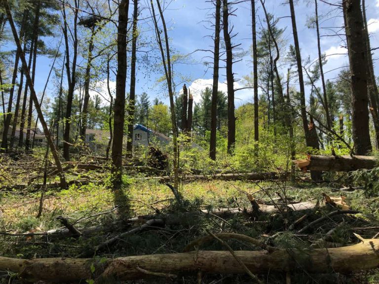 Wildlife Watch by Marian Harman – November 2021