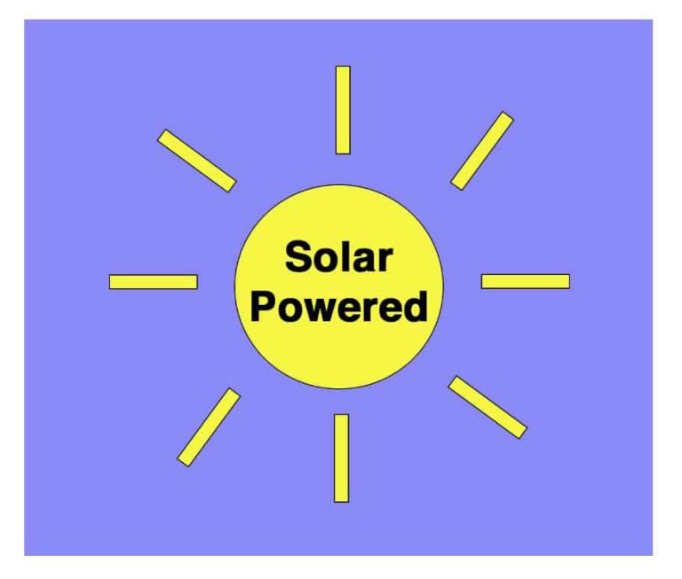 Wildlife Watch by Marian Harman – September 2020