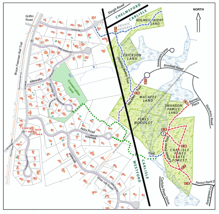 Spring 2021 Newsletter