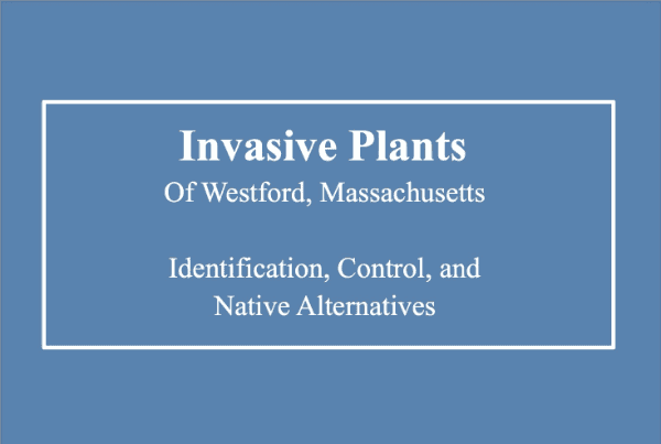 WESTFORD INVASIVE PLANTS GUIDE