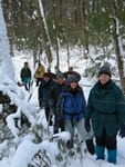 photo of walkers in winter